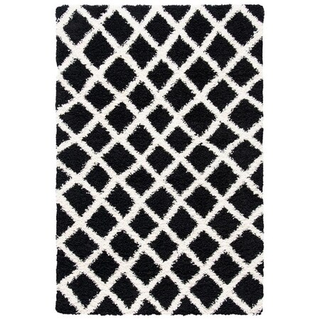 Safavieh 3 x 5 ft. Dallas Shag 258Z Power Loomed Rectangle Area Rug; Black & Ivory SGD258Z-3